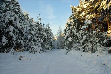 您的《赦免者》新手攻略到啦！请查收！